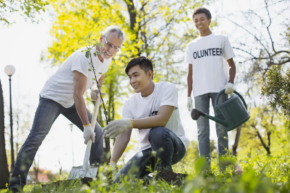 non-profit and volunteering industry